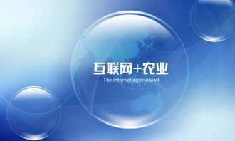 食用菌種植與互聯(lián)網(wǎng)技術(shù) 農(nóng)業(yè)革新的雙重奏